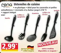 Rena louche