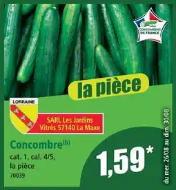 Concombre