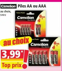Camelion piles aa