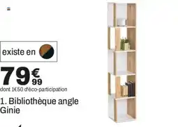 Ginie Bibliothèque angle