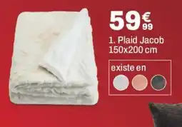 Plaid Jacob