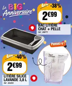 Spot & Flash Litière silice