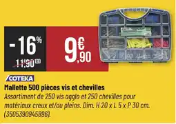 COTEKA Mallette 500 pièces vis et chevilles