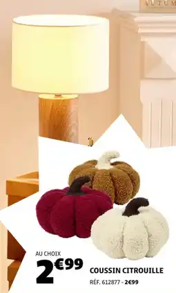 Coussin citrouille