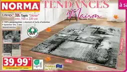 Lifetex xl tapis shiraz aquarelle