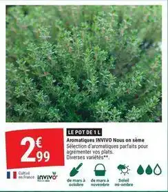 Invivo - aromatiques