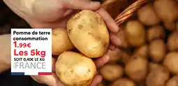 Pomme de terre consommation