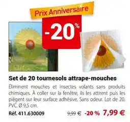 Set de 20 tournesols attrape-mouches