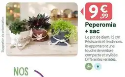 Nos - peperomia + sac