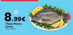Tilapia Mareva