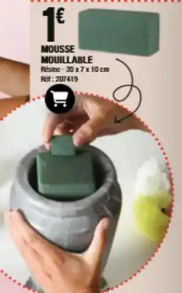 Mousse Mouillable