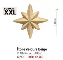 Étoile velours beige