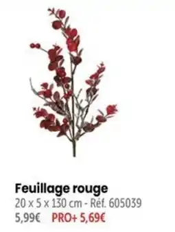 Feuillage rouge