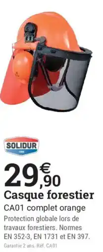 SOLIDUR Casque forestier