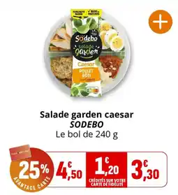 SODEBO Salade garden caesar