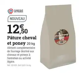 Cheval-Poney Pature