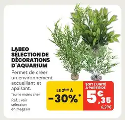 Labeo sélection de décorations d'aquarium