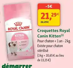 Royal Canin Kitten