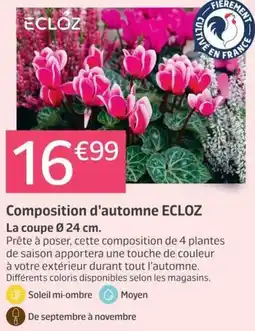 ECLOZ Composition d'automne