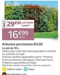 ECLOZ Arbustes persistants