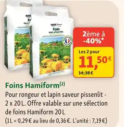 Hamiform foins