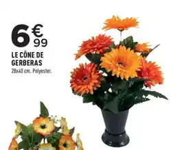 Le Cône de Gerberas