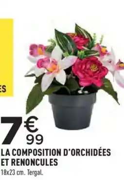 La Composition D'orchidées et Renoncules