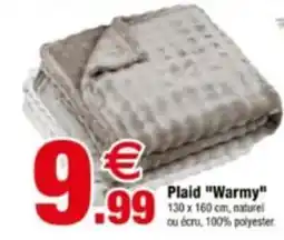 Warmy Plaid