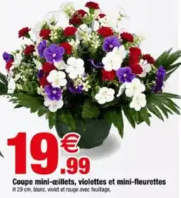 Coupe mini-cœillets, violettes et mini-fleurettes