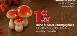 Citrouille déco