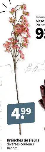 Branches de fleurs