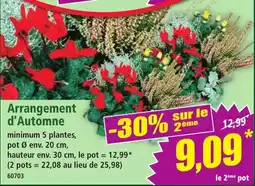 Arrangement d'Automne