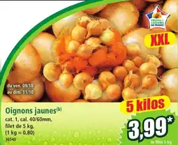 Fruits & Légumes de France Oignons jaunes
