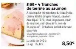 Terrine au saumon