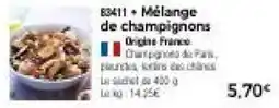 Mélange de champignons