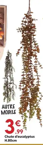 Chute d'eucalyptus