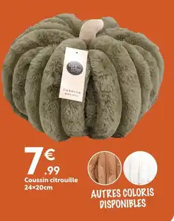 Coussin citrouille