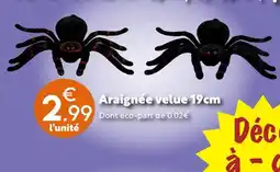 Araignée velue