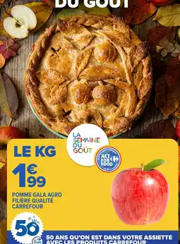 Pomme gala agro