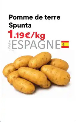 Spunta Pomme de terre