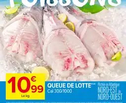 Queue de Lotte