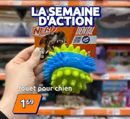 Jouet pour chien