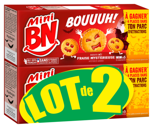 Biscuits Mini Bn