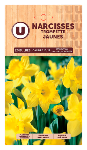 Bulbes U et U Spécialiste