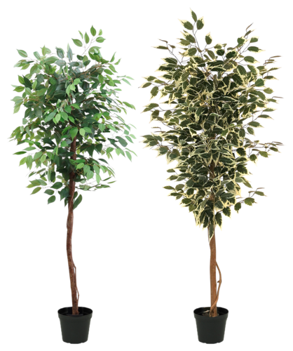 Ficus Artificiel 180 Cm