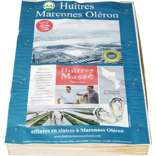 Huitre Marennes Oleron Fine de Claire Igp