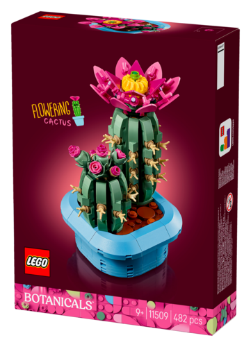 Cactus Fleuri