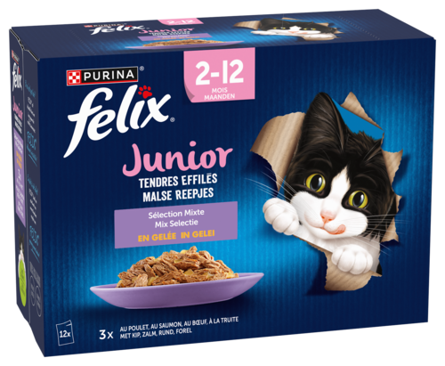 Tendres Effiles au Boeuf Poulet Saumon Truite pour Chat Junior Felix