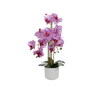 Orchidée Artificielle