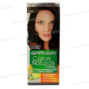 COLORATION 2.1 NOIR BLEU COLOR NATURALS GARNIER